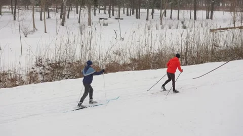 Skiers glide through snow-covered park in winter landscape with trees and Stock Footage 299733772