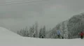 Skiers Goes Down on Mountain Slope on Ski Route Winter Scenery Forest Landscape HD Footage