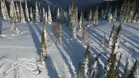 Skiers make a path through the mountain Vidéo 169022109