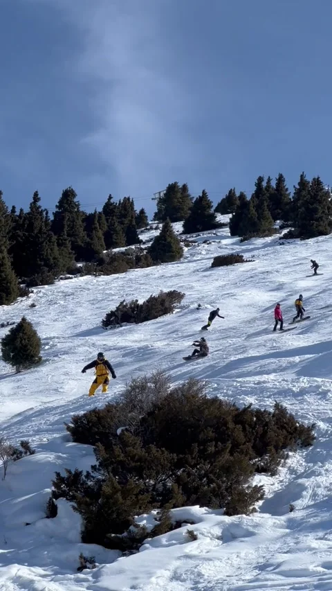 Skiers on the mountain Stockbeeldmateriaal 303153707