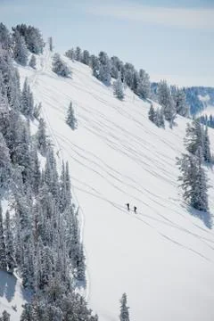 Skiers on mountain, Wasatch Mountains, Utah, United States Stock Photos