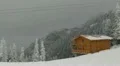 Skiers Passing Going Down Wooden Chalet Shed Winter Pine Woods Scenery Sunny HD Footage