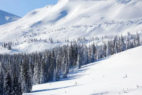 Skiers Stock Photos