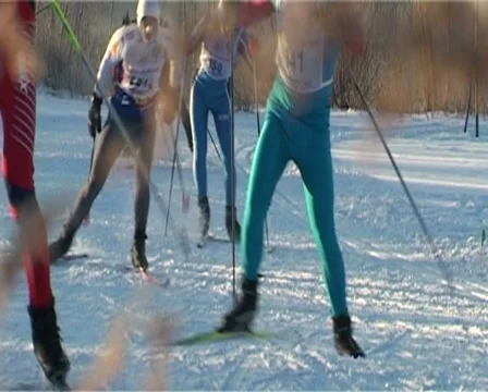 Skiers racing Stock Footage 10750825