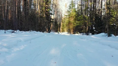 Skiers ride on the ski run through the woods Stock Footage 104403234