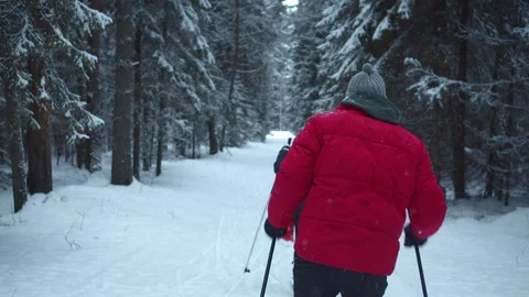 Skiers ride through the forest during a snowfall Stock Footage 129099864
