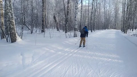 Skiers run through winter forest Stock Footage 169453436