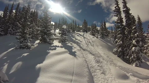 Skiers skiing down hill of thick powder in trees Stock-Footage 45581332
