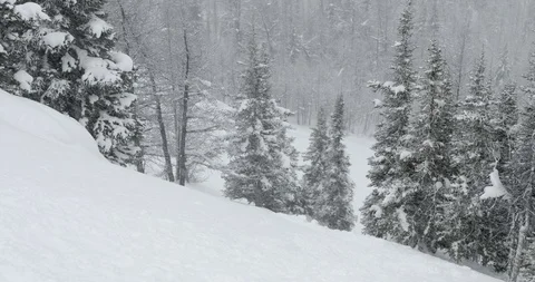 Skiers skiing down the snowy mountain slope Stock Footage 86247555