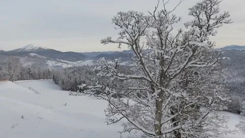 The skiers skiing in mountain Stock Footage 149059649