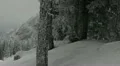 Skiers Skiing Ski Resort Scenery Mountains Nature Forest Winter Alpine Valley HD Footage