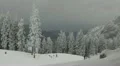 Skiers Start Down Gentle Hill Mountains Landscape Winter Amazing Frozen Scenic HD Footage