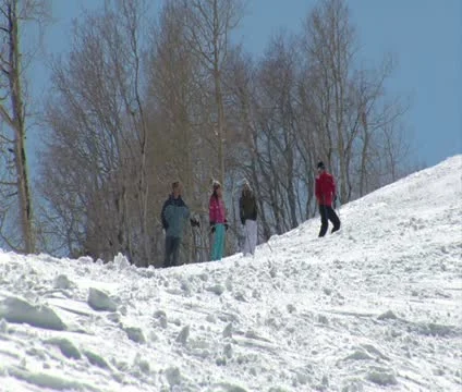 Skiers start down a hilly slope, trees in back Stock Footage 21674651