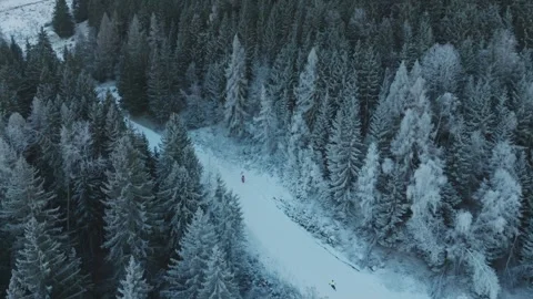 Skiers Traverse Down Slope through Frosted Forest Vídeos de archivo 334267741