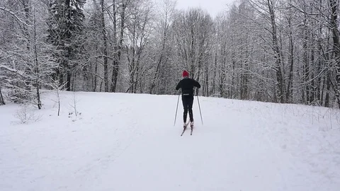 Skiers in winter Park Stock-Footage 71628846
