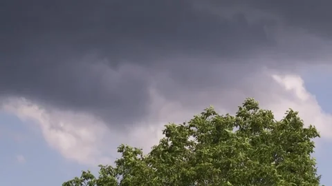 Skies in Motion – Thunderheads Rolling In Stock Footage 313678623