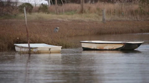 Skiff floats in estuary Video stock 46462217