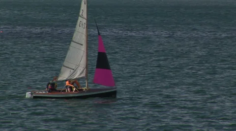 Skiff pink sailboat Stock Footage 33606591