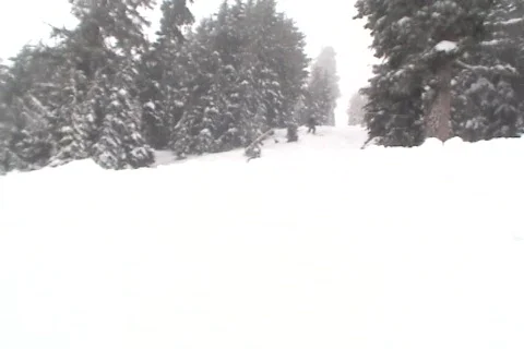 Skiing 02 Stock Footage 356833