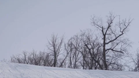 Skiing and snowboarding in the winter Stock Footage 72353503