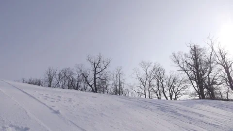 Skiing and snowboarding in the winter Stock Footage 72928829