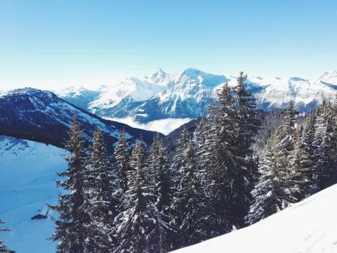 Skiing in Austria Stock-Fotos