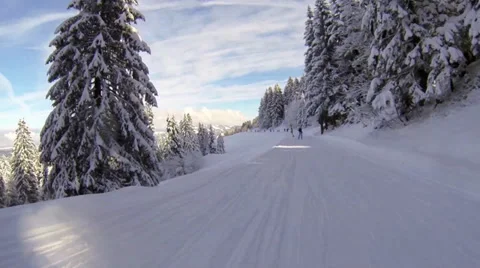 Skiing between fir trees Stock Footage 34457243
