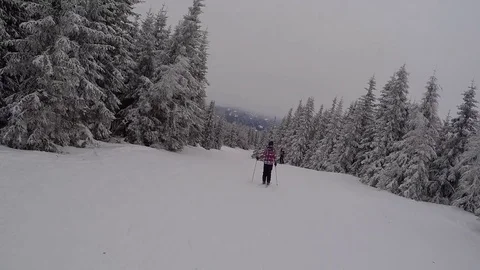 Skiing between snow covered trees in European forest Stock Footage 85378503