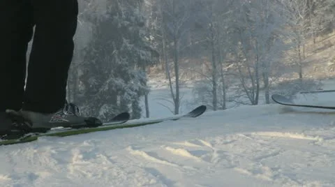 Skiing business. Stockbeeldmateriaal 12756656