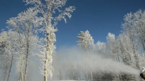Skiing business. Stockbeeldmateriaal 12756698