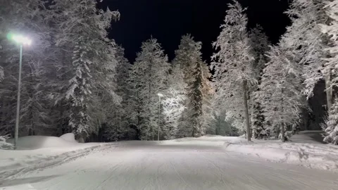 Skiing Down On Illumination Slope At Evening In Mountains Snow Covered Forest Stock Footage 221562881