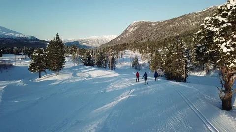 Skiing drone Stock Footage 149360246