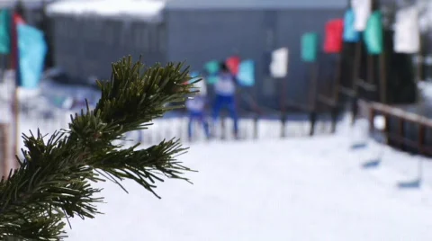 Skiing 스톡 동영상 662962