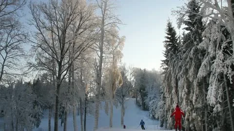 Skiing. Stockbeeldmateriaal 12756663