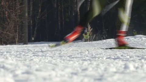 Skiing in the forest Stock Footage 103503369