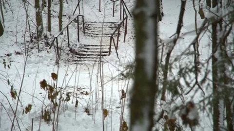 Skiing on the handrail Stock Footage
