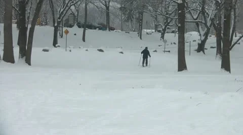 Skiing in the Park Video stock 11081482