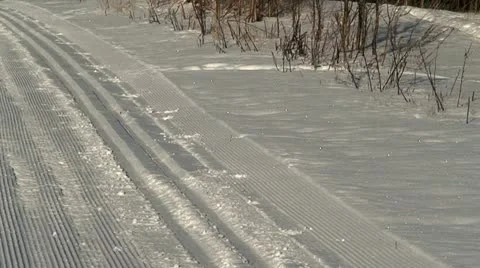 Skiing path 4 Stock Footage 10894112