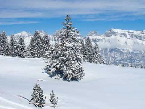 Skiing slope Stock-Fotos