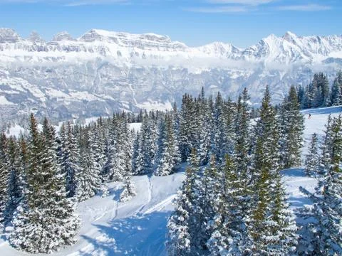 Skiing slope Stock Photos
