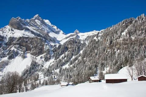 Skiing slope 스톡 사진