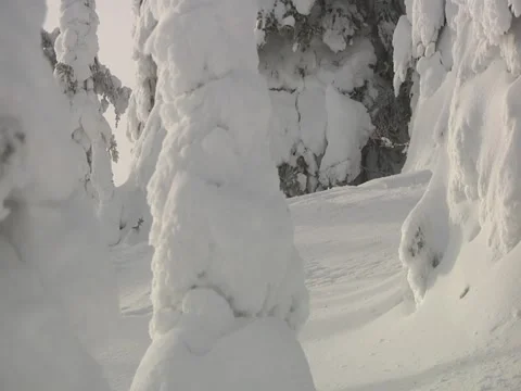 Skiing through snow covered trees Stock Footage 6715186