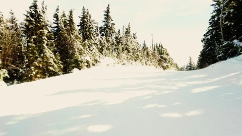 Skiing on tree lined trail Video stock 125350615