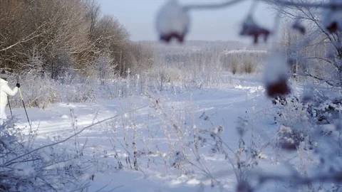  skiing woman Stock Footage 70952859