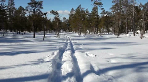 Skiing in the woods Stock Footage 23410071