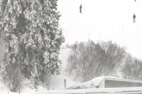 SkiingThruTrees NTSC DV 動画素材 842541
