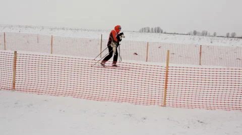 Skijoring competitions Stock Footage 48581367