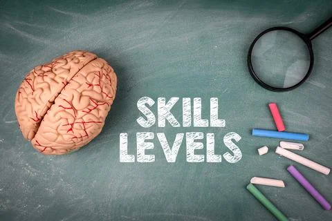 Skill Levels concept. Brain model, magnifying glass and colored chalks on a Stock Photos