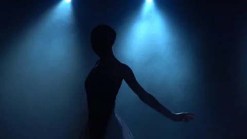 Skilled ballerina dancing classical ballet elements. Close up slow motion. Stock Footage 119218069