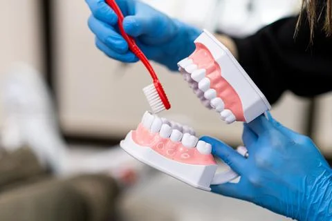 Skilled dentist in gloves explaining teeth brushing to children at health lesson Stock Photos